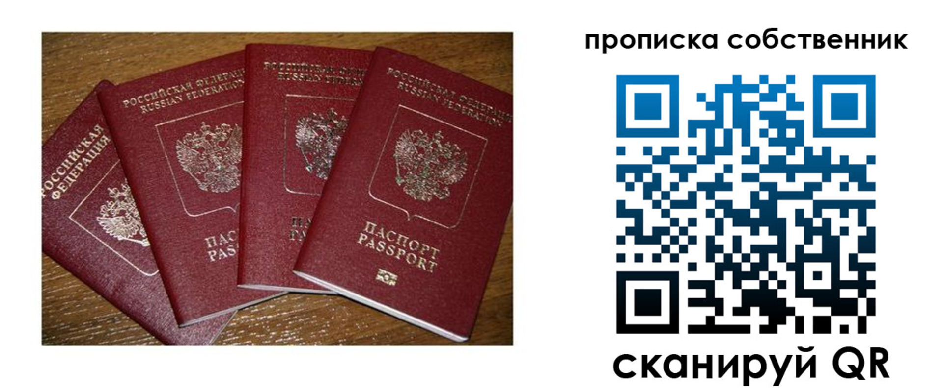 прописка поиск в Тольятти